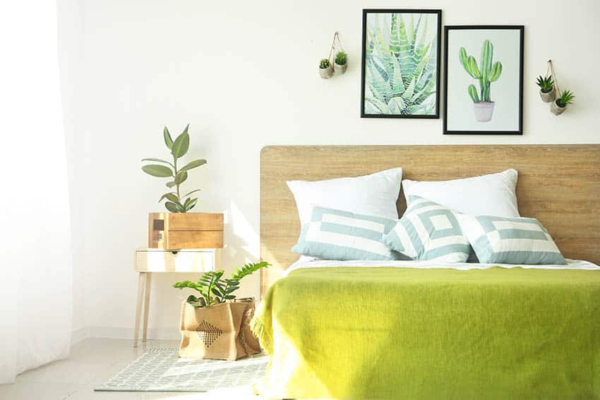 Dormitorio con sol directo y plantas de interior