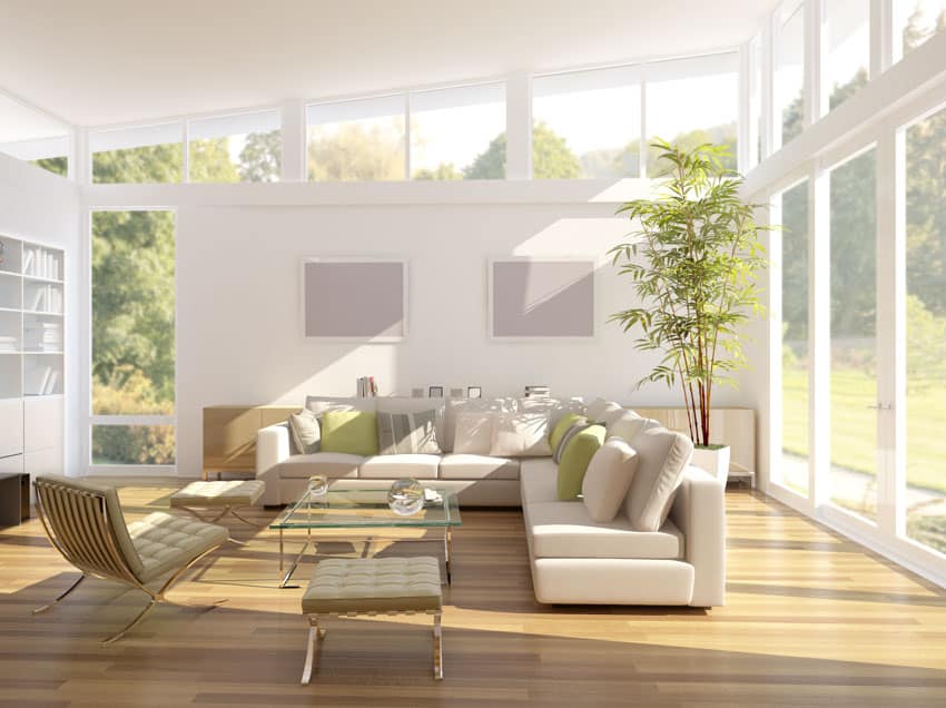 Sala de estar espaciosa y luminosa con ventanas, piso de madera, sofás, sillas y plantas de bambú